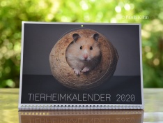 Tierheimkalender 2020