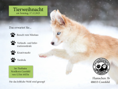 Tierheimplakat Winter 2023