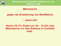 Westfleisch1